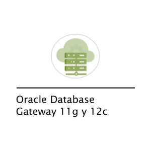 Oracle Database Gateway